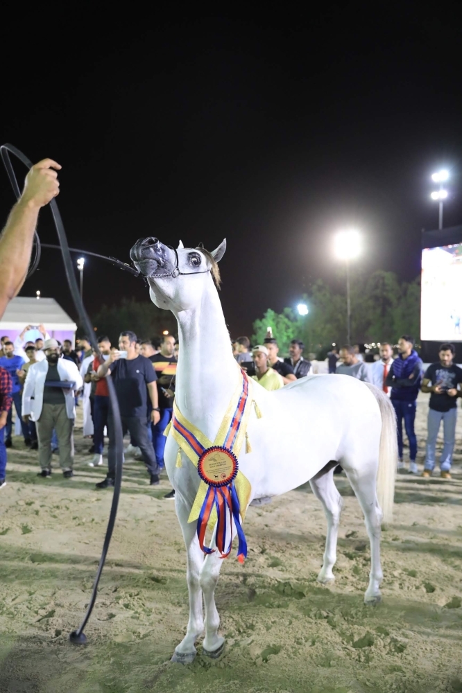 ختام مميز لبطولة العيد الوطني لجمال الخيل العربية