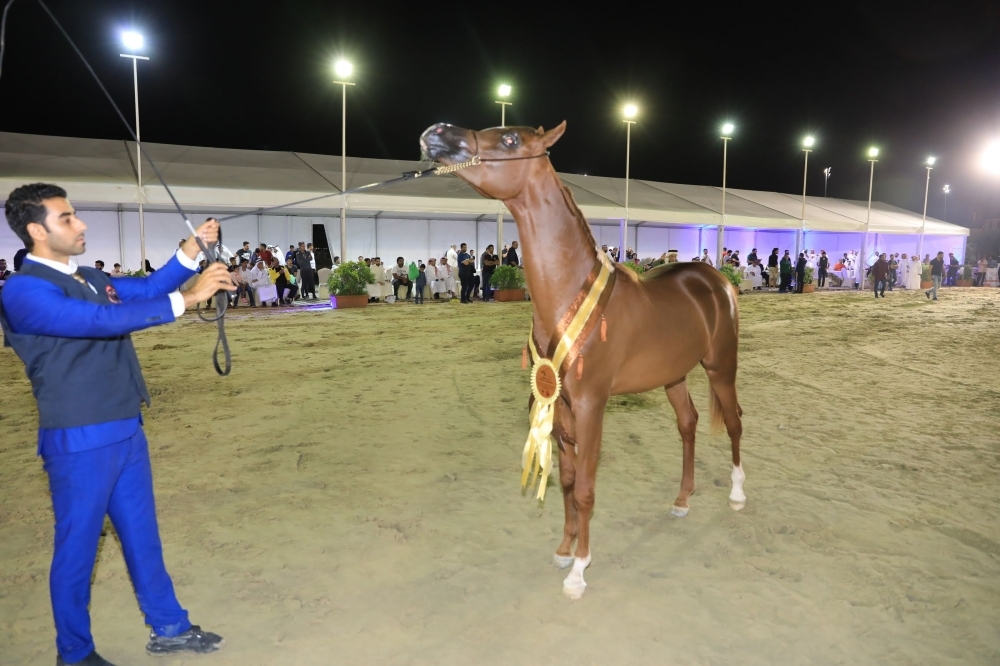 ختام مميز لبطولة العيد الوطني لجمال الخيل العربية