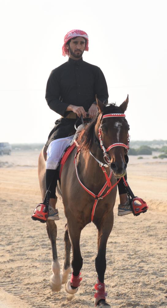 فارس الموروث تعتمد الكعبي والرميحي والخالدي في الشوط النهائي