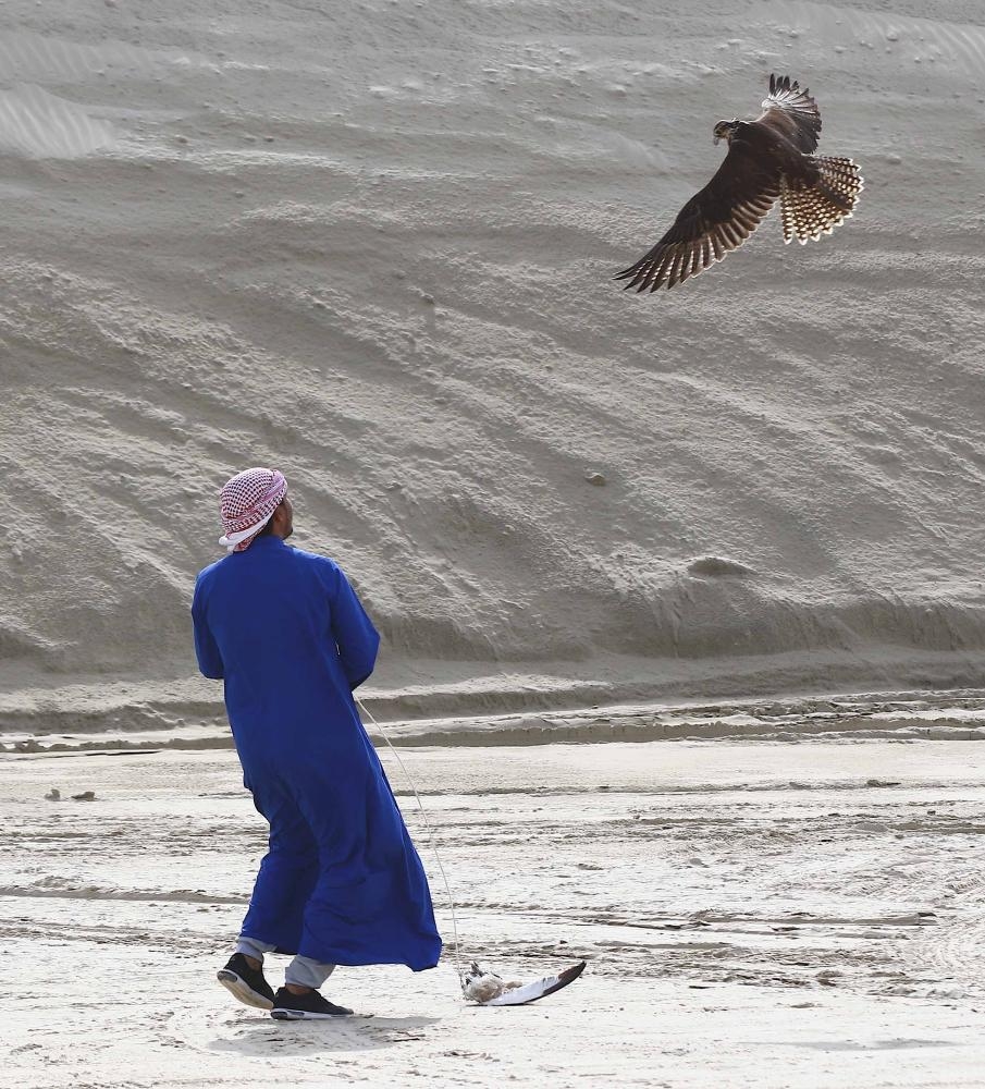 40 فائزاً في كأس فيصل بن خالد للصقور