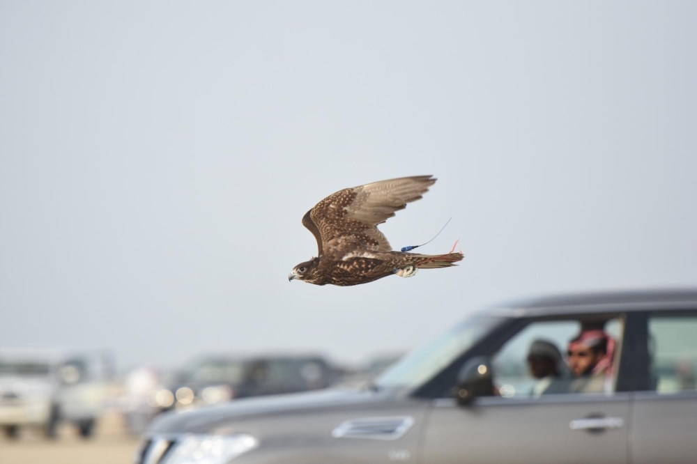 الزعبي بطلاً لمسابقة الطيارة في كأس فيصل بن خالد