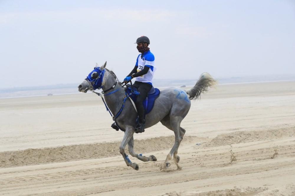 ناصر بن حمد: نعتز بالمشاركة في سباق كأس خادم الحرمين الشريفين للقدرة