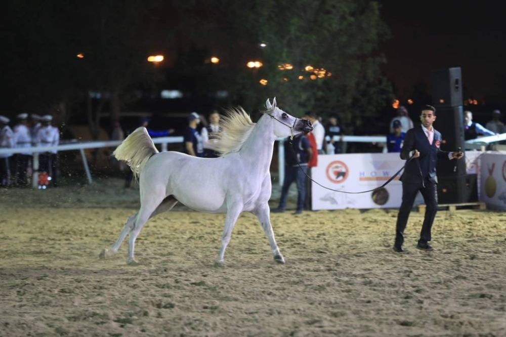 فتح باب التسجيل للمشاركة في بطولة ناصر بن حمد الدولية لجمال الخيل