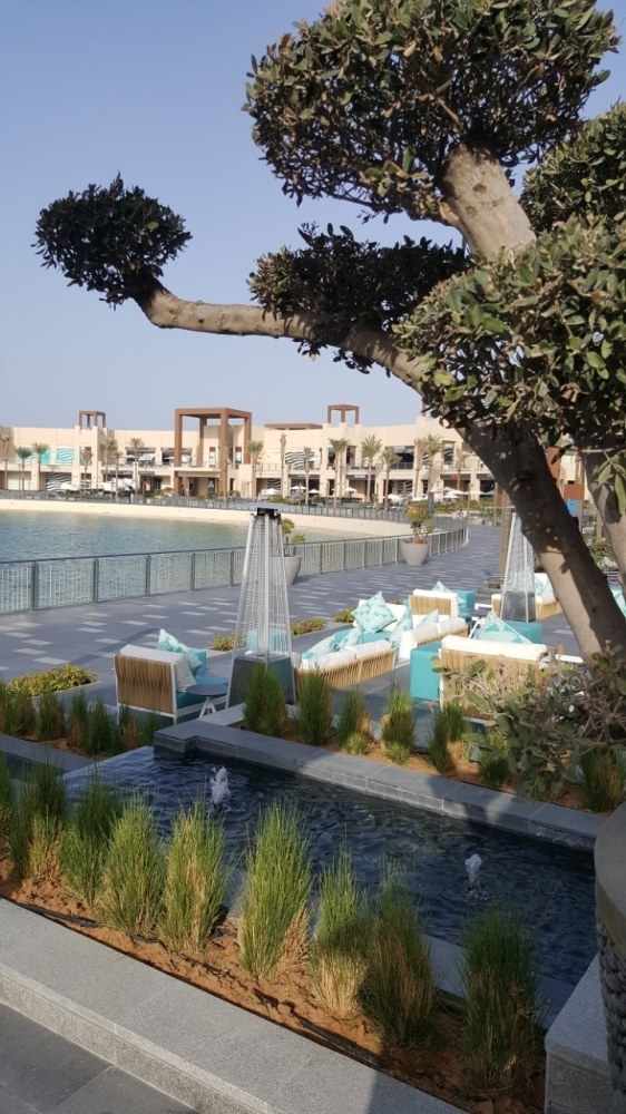 20 تجربة فريدة وحصص تعلم الطهي بمهرجان دبي للمأكولات 2019