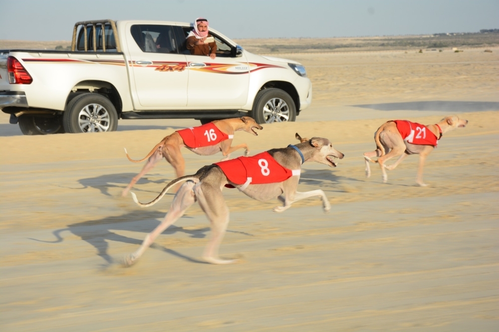 ناصر بن حمد: نجاح كبير حققه موسم الصقور والصيد في نسخته الخامسة