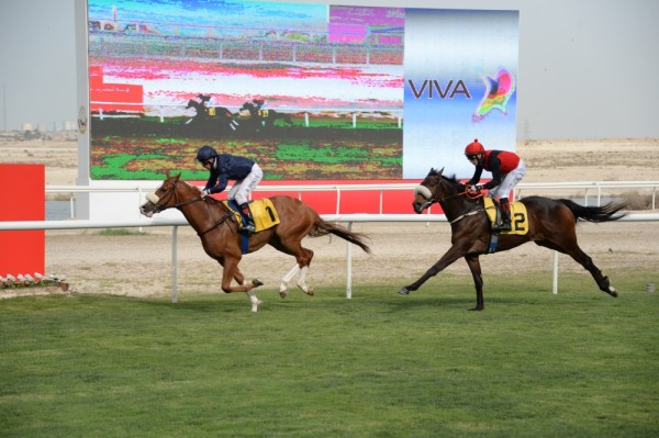 منافسات قوية مرتقبة على كؤوس فيفا في السباق الـ23