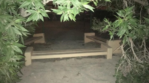 أماكن الترفيه العامة.. مهملة ومنسية