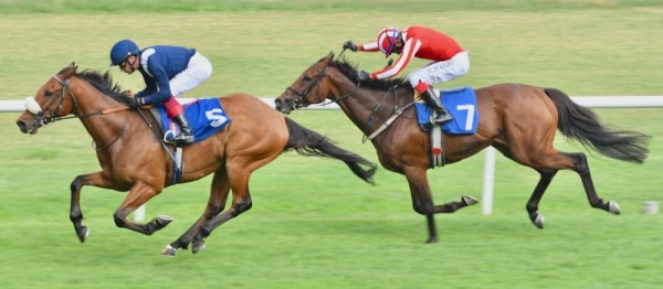 عيسى بن سلمان يتسلم كأس البحرين الذهبي بعد فوز جواده "ثور كهيل ستار" في سباق الخيل