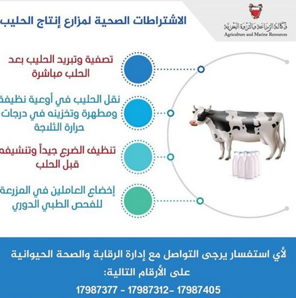 "الزراعة" تنشر الشروط الفنية والصحية لإنتاج الحليب