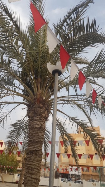 أعمال تخريب متعمدة في حديقة الكازينو