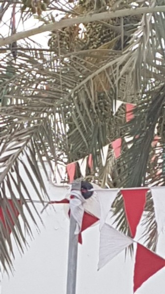 أعمال تخريب متعمدة في حديقة الكازينو