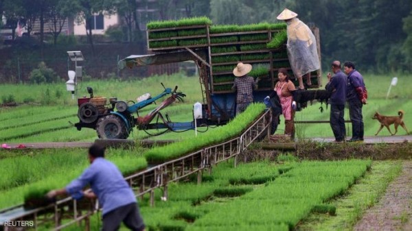 للشهر الخامس على التوالي.. ارتفاع أسعار الغذاء العالمية