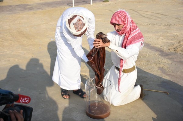 القعود: لجنة رياضات الموروث الشعبي نظمت 21 بطولة منذ تأسيسها