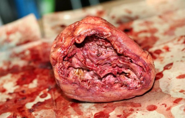 بوعلاي لـ"الوطن": مكياج الرعب والخيال أصعب أنواع المؤثرات الخاصة