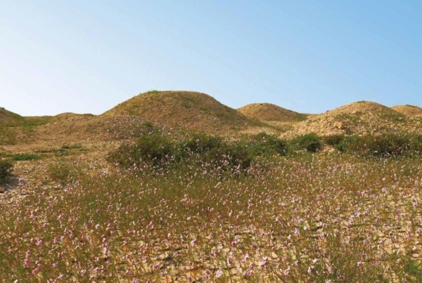 تلال مدافن دلمون ثالث مواقع البحرين على قائمة التراث العالمي لليونيسكو