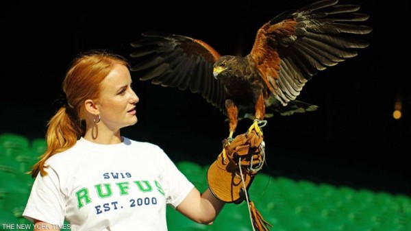 "روفوس".. مهمة خاصة جداً لصقر ويمبلدون