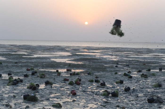 "الحية بية".. أضحية الأطفال على الشطآن