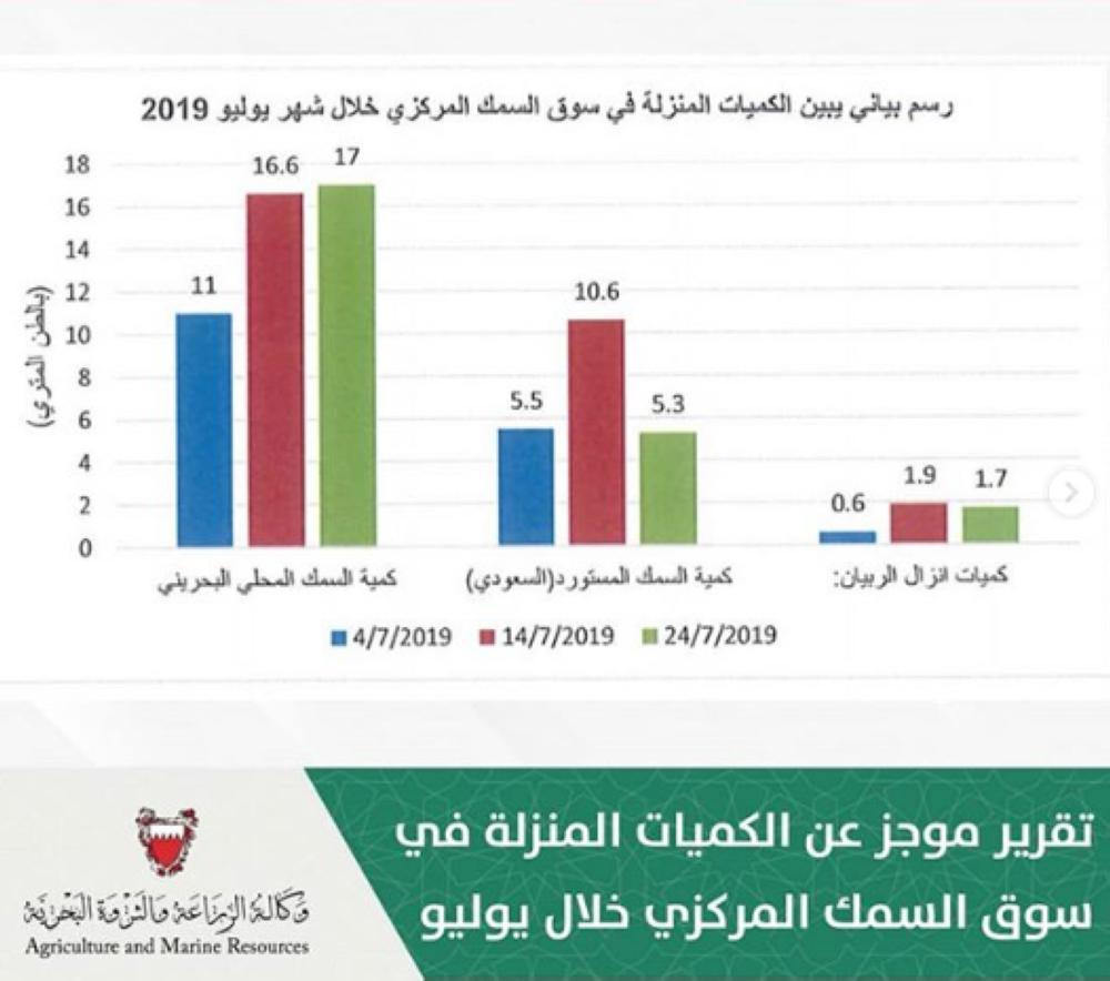 السوق المركزي يستقبل 24 طناً من الأسماك مايو الماضي