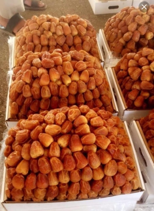 أمير القصيم يزور مهرجان تمور بريدة في نسخته الـ 40