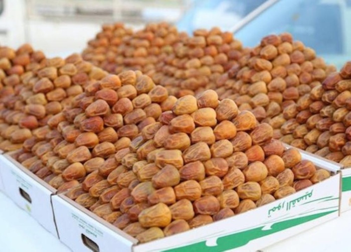 أمير القصيم يزور مهرجان تمور بريدة في نسخته الـ 40