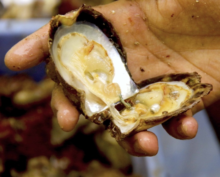 موسم ناصر بن حمد للموروث البحري يشهد أولى المشاركات النسائية