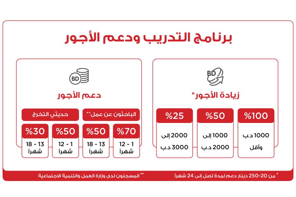 جناحي: نتائج إيجابية للبرنامج الوطني للتوظيف