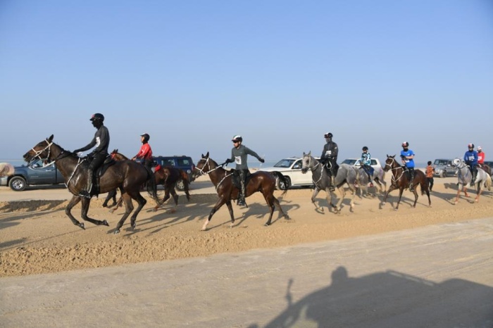 انطلاق الموسم الجديد للقدرة السبت.. والفحص البيطري الجمعة