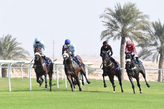 منافسات للفوز بكؤوس"بلاستيك تايلوس" والعلوي وسافرة بسباق الخيل