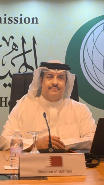 مساعد وزير الخارجية: البحرين حققت الكثير من الإنجازات برعاية حقوق الإنسان