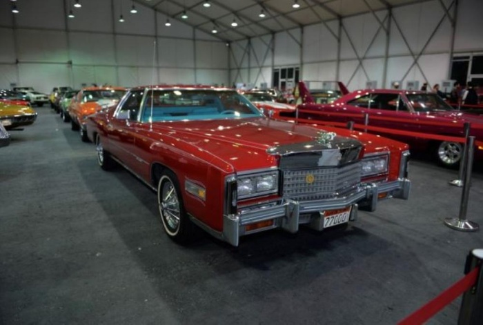 90 ألفاً احتفلوا بمهرجان الحلبة للعيد الوطني خلال 4 أيام