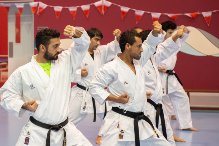 &nbsp;اتحاد الكراتيه ينظم مهرجان العيد الوطني