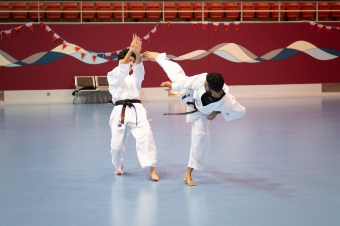 &nbsp;اتحاد الكراتيه ينظم مهرجان العيد الوطني