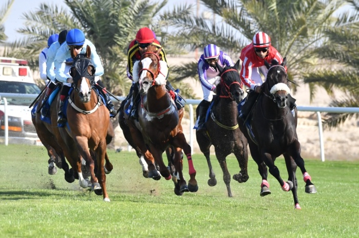 66 جواداً ومنافسات منتظرة على كؤوس ألبا و"الجنوبية" بسباق الخيل