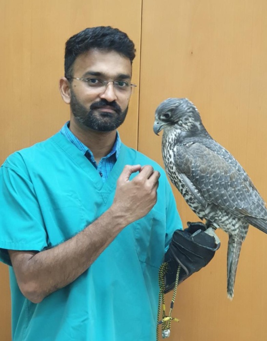 افتتاح اول مستشفى تخصصي للصقور في البحرين