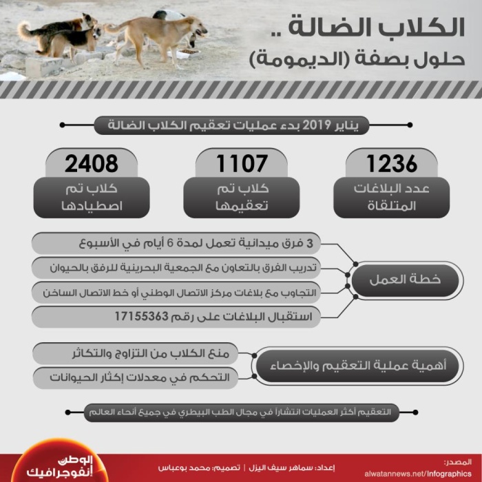 الكلاب الضالة.. حلول بصفة "الديمومة"