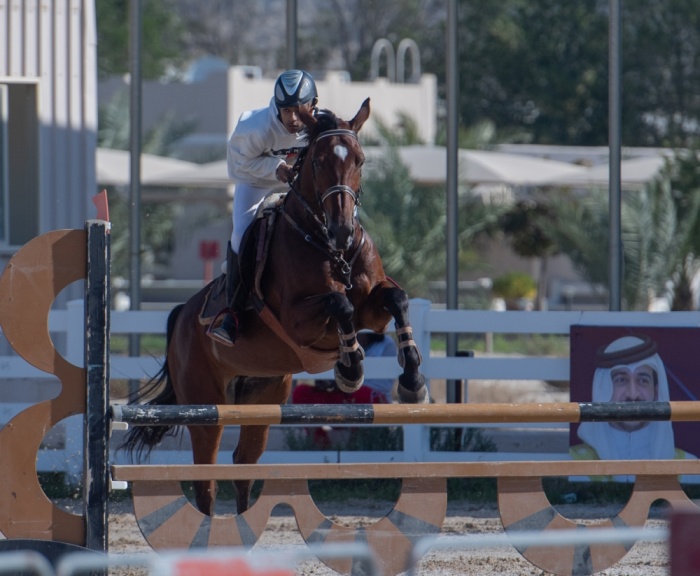 برعاية "دلمونيا"..منافسات قوية بين الناشئين في بطولة خالد بن حمد لقفز الحواجز