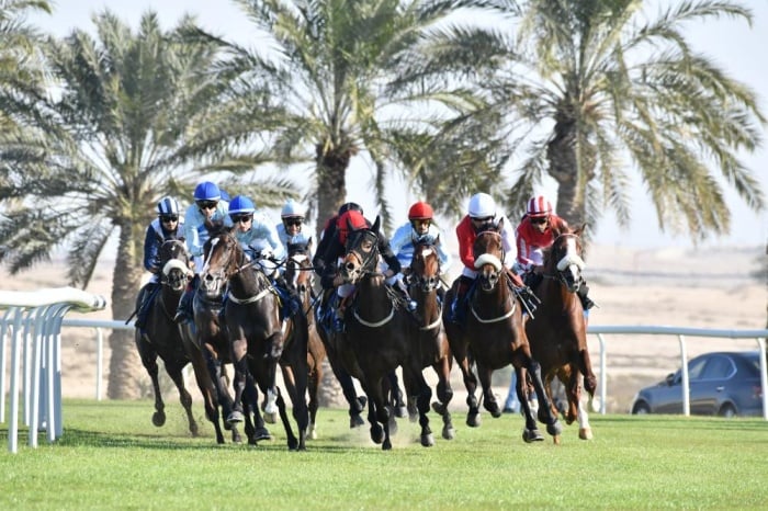 أكبر مشاركات للفوز بكؤوس اللكزس و"الهاجري" والنادي الملكي بسباق الخيل