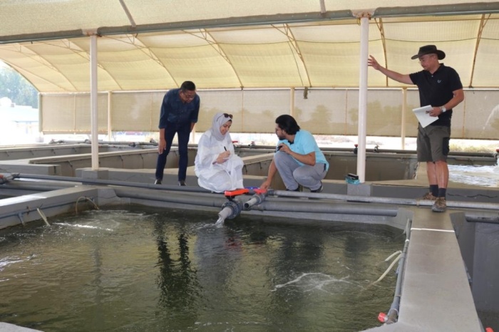 "الزراعة" إنجازات متميزة في 2019.. تأهيل البحرينيين ومبادرات للنهوض بالقطاع