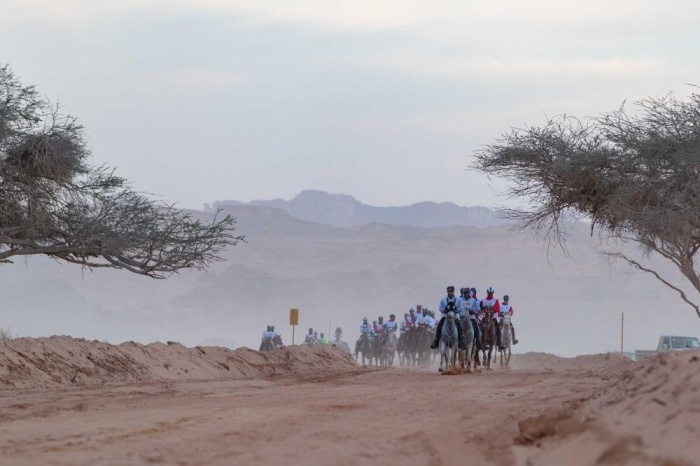 ناصر بن حمد: علاقات أخوية متميزة تربط البحرين بالسعودية