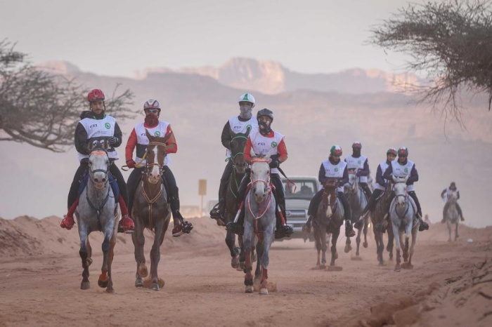 ناصر بن حمد: علاقات أخوية متميزة تربط البحرين بالسعودية