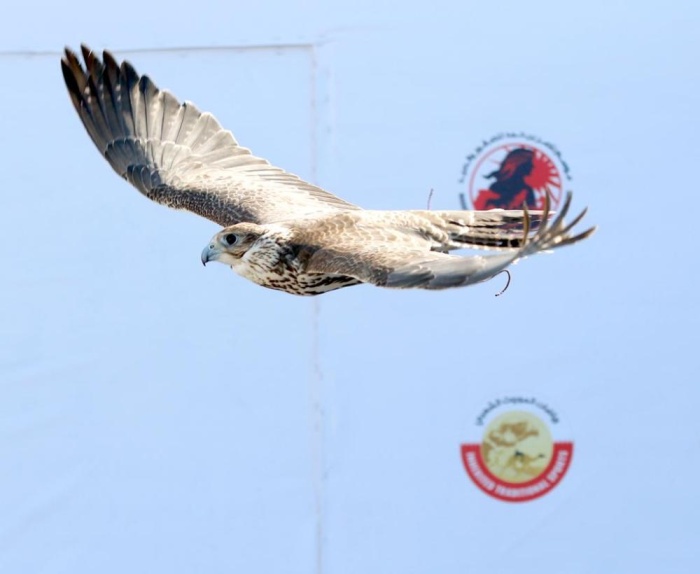 برعاية ناصر بن حمد.. انطلاق أولى منافسات مسابقة فارس الموروث الجمعة