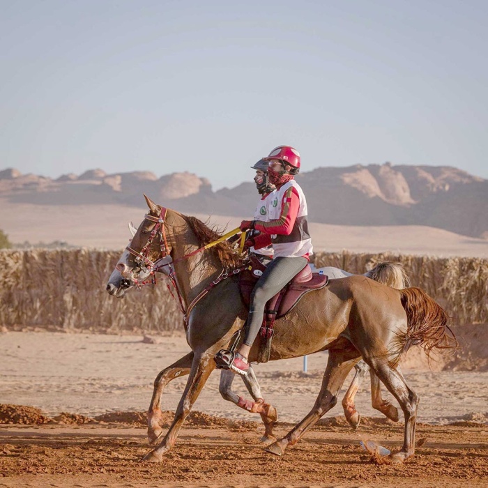 ناصر بن حمد: طابع عالمي لسباق كأس خادم الحرمين الشريفين للقدرة