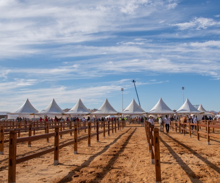 ناصر بن حمد: طابع عالمي لسباق كأس خادم الحرمين الشريفين للقدرة