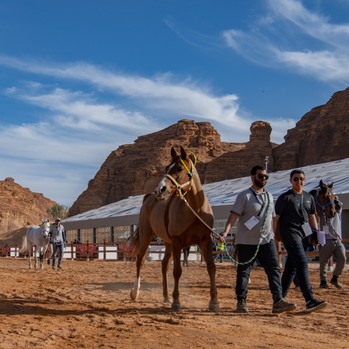 ناصر بن حمد: طابع عالمي لسباق كأس خادم الحرمين الشريفين للقدرة