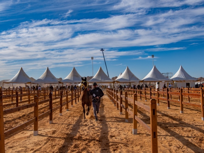 ناصر بن حمد: طابع عالمي لسباق كأس خادم الحرمين الشريفين للقدرة