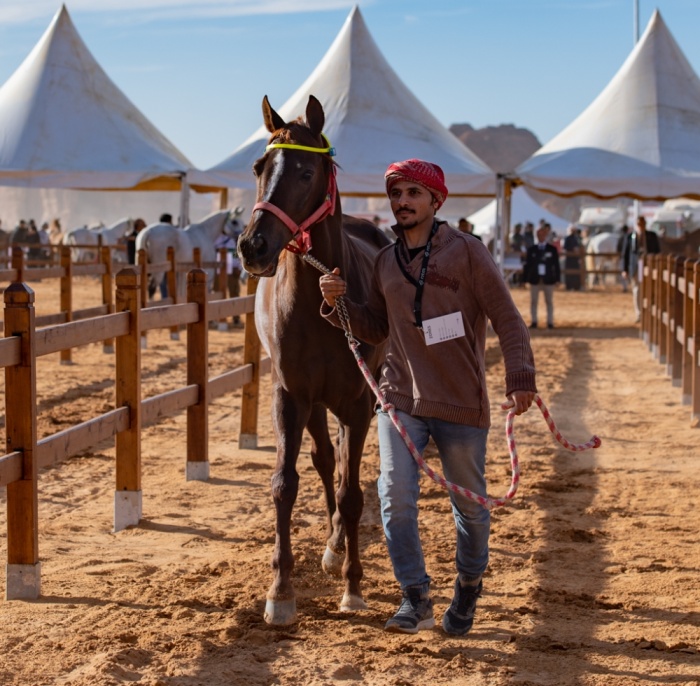 ناصر بن حمد: طابع عالمي لسباق كأس خادم الحرمين الشريفين للقدرة
