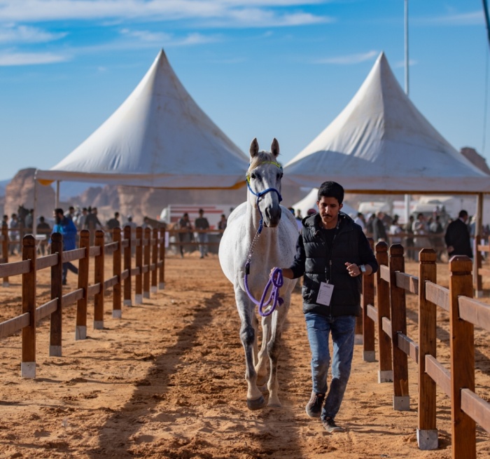 ناصر بن حمد: طابع عالمي لسباق كأس خادم الحرمين الشريفين للقدرة