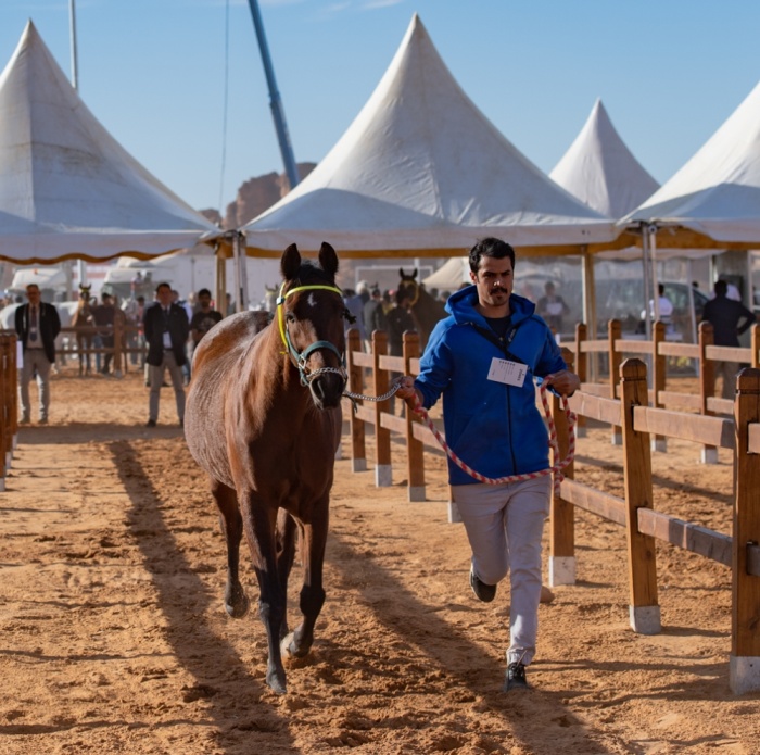 ناصر بن حمد: طابع عالمي لسباق كأس خادم الحرمين الشريفين للقدرة