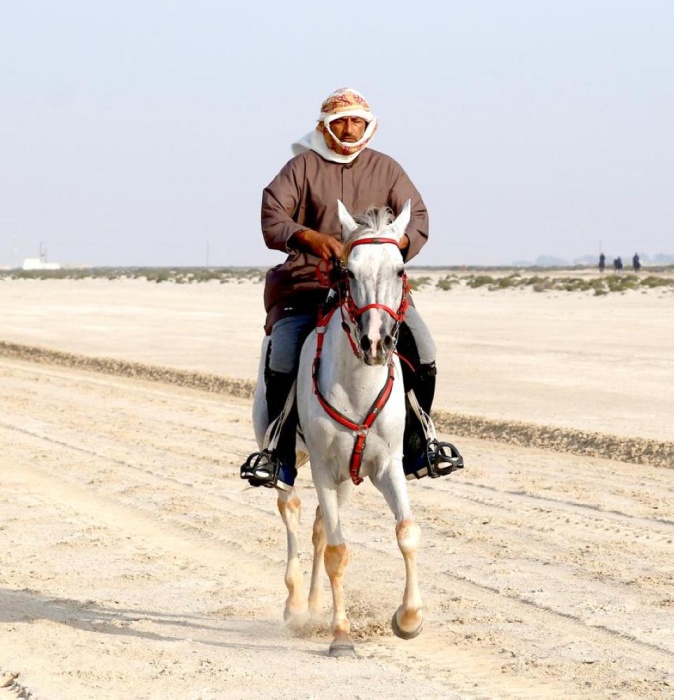المعمري والنعيمي يتأهلان لنهائي مسابقة فارس الموروث