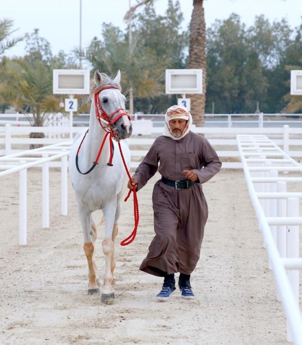 المعمري والنعيمي يتأهلان لنهائي مسابقة فارس الموروث